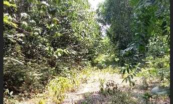 Imagem 2: /Lote em Açutuba com 4 mil m2