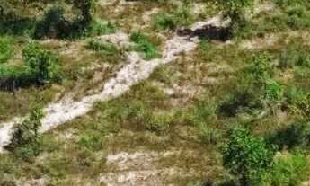 Imagem 3: Terreno De Chácara na Região do Água Boa 18km - Lei anúncio