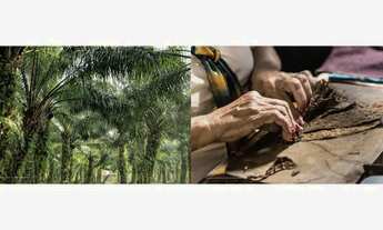 Imagem 3: Estância Fernandez. Sua nova morada em lotes de alto luxo à 10 minutos de Feira de Santana