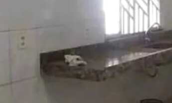 Imagem 5: Casa a venda em Jardim Tropical