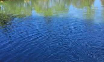 Imagem 3: Vendo chácara escriturada e registrada na embrapa