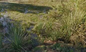 Imagem 2: Terreno no Recanto de Portugal - Laranjal - Pelotas/RS