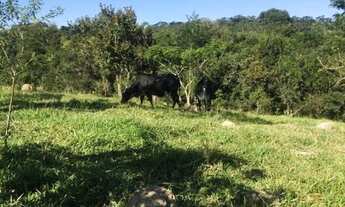 Imagem 5: Chácara em condomínio perto de Belo Horizonte