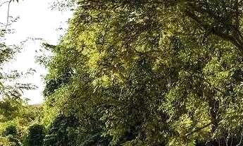 Imagem 6: Vendo terreno no Condomínio Vale dos Jardins