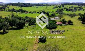 Imagem 2: Chacara` de 3 alqueires 20 litros anicuns goias