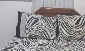 Imagem 5: Alugo apartamento mobiliado