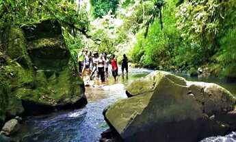 Imagem 5: Area - Bairro LINHA CANASTRA