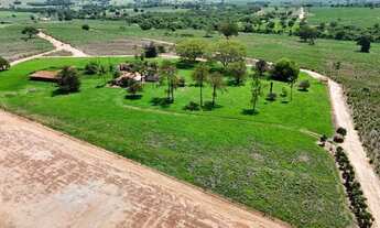 Imagem 6: Região de Jales/SP. São 66 alqueires com 55 alqueires em CANA!!!