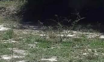 Imagem: Terreno chacara Guapo R$ 20.000