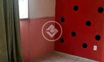 Imagem 6: Lindo apartamento no Vera Cruz. codigo: 117850