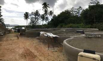 Imagem 2: EXC!! TERRENO C/ 3.000 METROS BEIRA DE LAGOA!! DOCUMENTADO!! 800 MIL REAIS!!