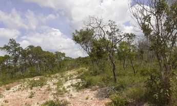 Imagem 5: Fazenda em Caxias do Maranhão