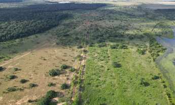 Imagem 4: Fazenadas em /Boa Vista/ Roraima 1.000 hequitares