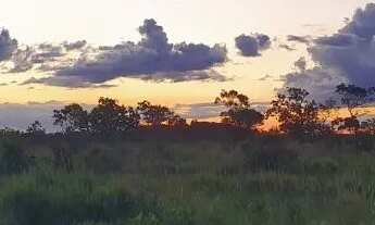 Imagem 2: FAZENDA EXCLUSIVA COM PÉ NA ÁGUA NO RIO TACUTÚ: OPORTUNIDADE ÚNICA EM BONFIM (RR-206