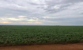 Imagem 2: Fazenda 3.364hec em Lucas do rio verde, 1.800 abertos R$:700 sacas área aberta