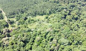 Imagem 7: Amplo terreno à venda na cidade de Picada Café na Serra Gaúcha