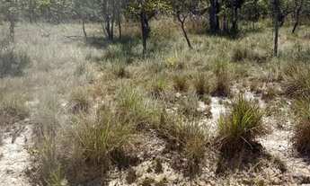 Imagem 6: Fazenda em Caxias do Maranhão