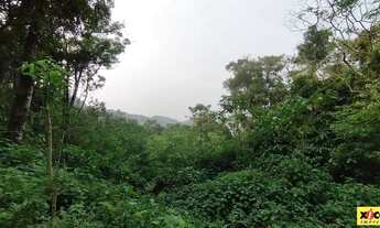 Imagem 3: Sítio / Chácara para Venda em Nova Petrópolis, Linha Olinda