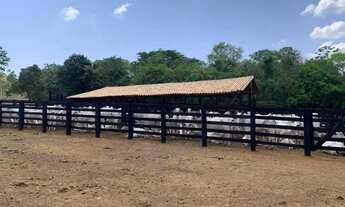 Imagem 4: Fazenda em Palmas