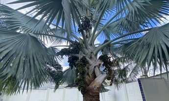 Imagem 2: Imóvel para venda possui 54 metros quadrados com 2 quartos