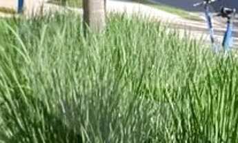 Imagem 4: Loja à venda ou para locação em Vila Mariana - SP