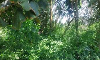 Imagem 4: Lote em Rua São Vicente - Granja Viana - Cotia/SP