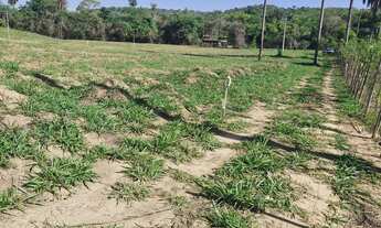 Imagem: Chácara 2 mil metros