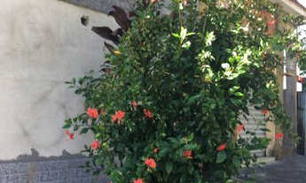 Imagem: Casa para alugar no bairro Santo Agostinho