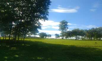 Imagem 2: Fazenda em Goiânia