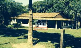 Imagem: Fazenda Beira Tocantins. gt 1.000 Alq