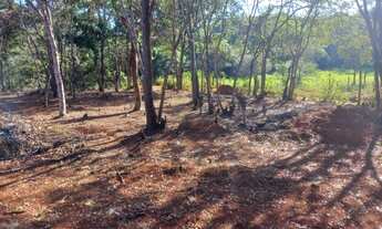 Imagem: Chácara em Santa Bárbara