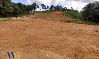 Imagem 5: Terreno Rural para Venda em Campo Largo, Itaqui de Cima