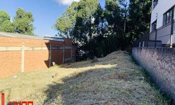 Imagem 6: Excelente terreno no bairro Sanvitto Ref.:1157