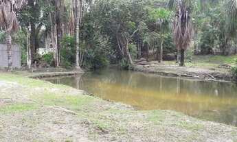 Imagem 4: Sítio com Igarapé, água corrente, perto da cidade, AM010, KM 32