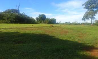 Imagem 4: Fazenda em Goiânia