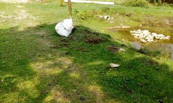 Imagem 5: Chácara em Barreirinha - Curitiba PR