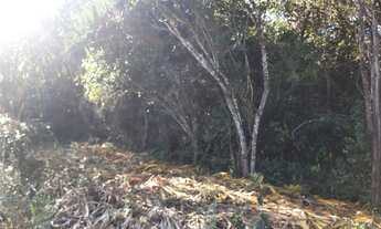 Imagem 5: VENDE-SE CHÁCARA 50ha - 7KM DE ALTO PARAÍSO DE GOIÁS SENTIDO MOINHO - ESCRITURA E REGISTRO