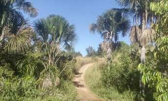 Imagem: Fazenda no municipio de Lizarda R$ 13 mil