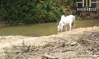 Imagem: Fazenda à venda, 1000000 m² por R$ 1.700.000,00