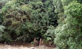 Imagem 3: Porto Alegre - Sítio - Ponta Grossa