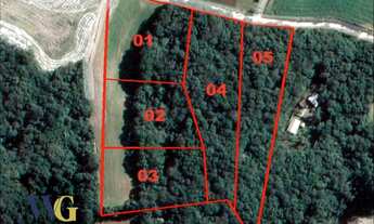 Imagem 7: Terreno Rural para Venda em Campo Largo, Colônia Balbino Cunha