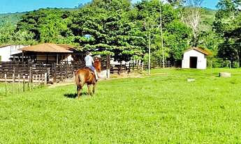Imagem 7: Fazenda 14 alqueires a venda no Município de Aragoiânia - GO
