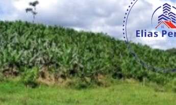 Imagem 2: Terreno para chácara em Rio Novo Área Rural de Piçarras sc