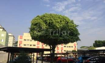 Imagem 4: Apartamento _ Localizado na Zona norte da cidade