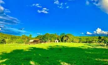 Imagem: Fazenda 14 alqueires a venda no Município