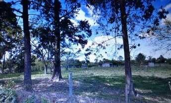 Imagem 3: Porto Alegre - Terreno Padrão - Lageado