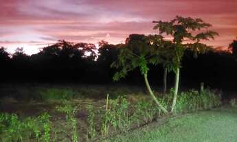 Imagem 3: Chácara Porangaba-SP 10.000 M²