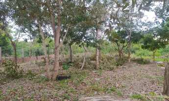 Imagem 2: Vende-se terreno situado no loteamento Agro Tecnológico de Palmas-to (próximo da Agrotins