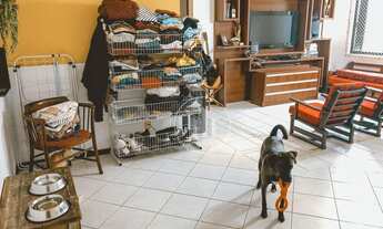 Imagem 4: Apartamento com 2 dormitórios à venda, 82 m² por R$ 850.000,00 - Itacorubi - Florianópolis