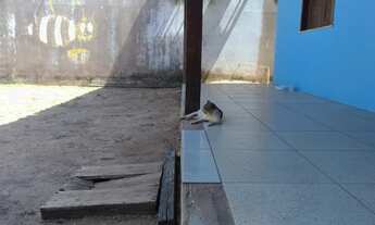 Imagem 7: Casa ampla, toda murada, 2 quartos, ambiente familiar